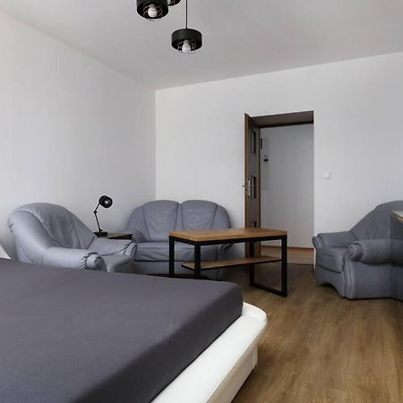 Przyjazny Apartament W Bedzinie Екстериор снимка