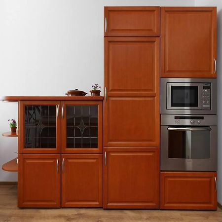 Przyjazny Apartament W Bedzinie Екстериор снимка