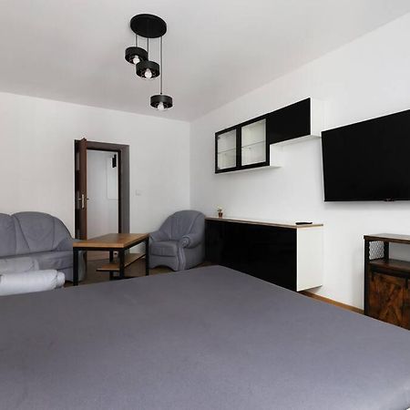 Przyjazny Apartament W Bedzinie Екстериор снимка