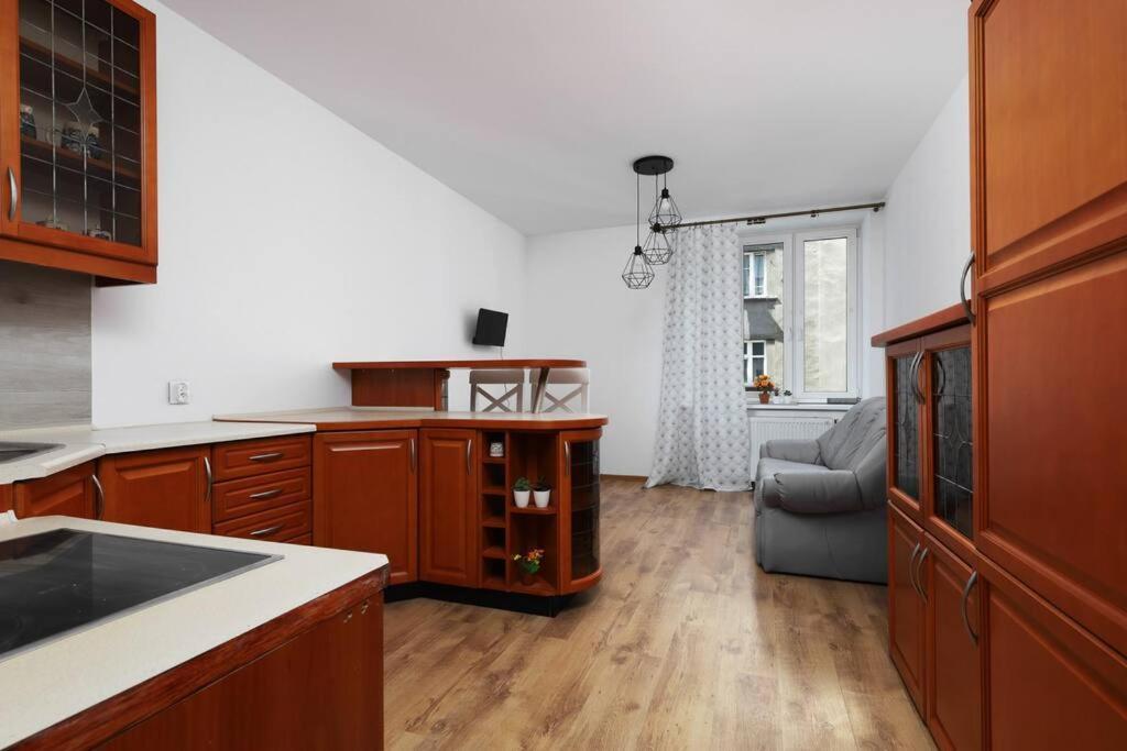 Przyjazny Apartament W Bedzinie Екстериор снимка