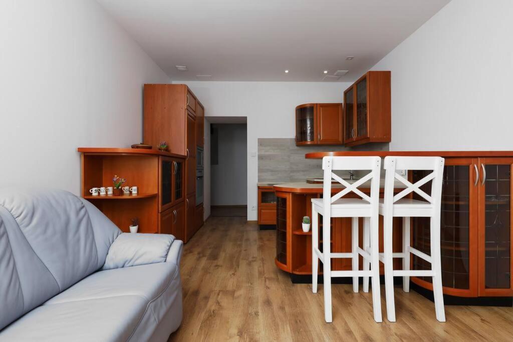 Przyjazny Apartament W Bedzinie Екстериор снимка