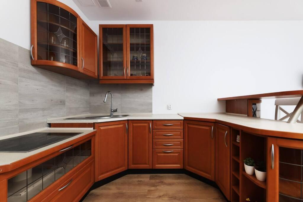 Przyjazny Apartament W Bedzinie Екстериор снимка
